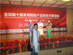 Attend high-end exhibitions